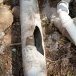 Damaged sewer line